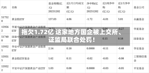 拖欠1.72亿 这家地方国企被上交所、证监局联合处罚！-第1张图片