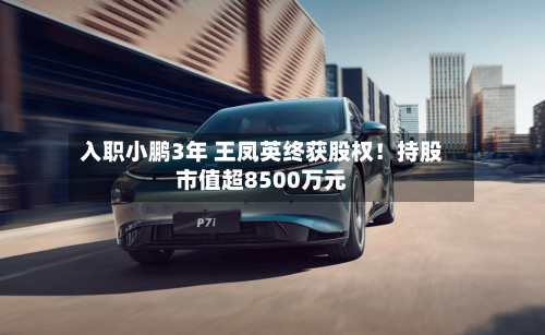 入职小鹏3年 王凤英终获股权！持股市值超8500万元-第1张图片