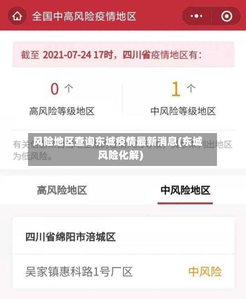 风险地区查询东城疫情最新消息(东城风险化解)-第1张图片