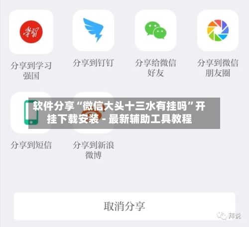软件分享“微信大头十三水有挂吗	”开挂下载安装 - 最新辅助工具教程-第1张图片