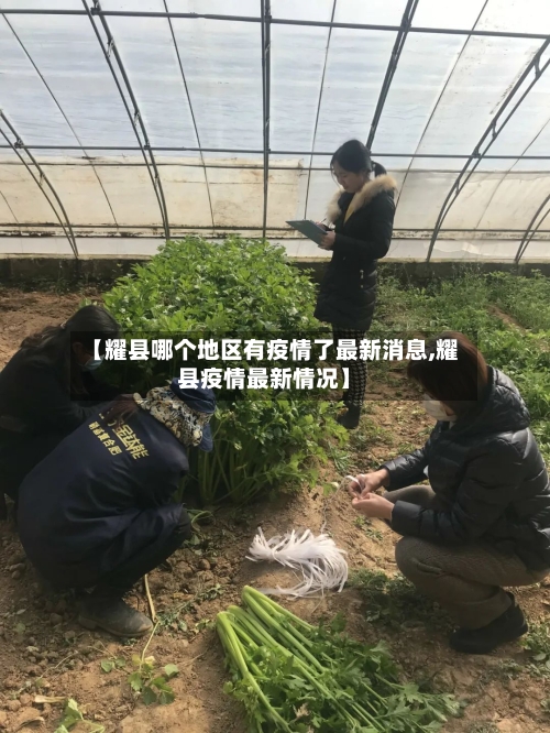 【耀县哪个地区有疫情了最新消息,耀县疫情最新情况】-第1张图片