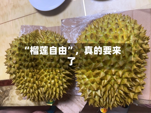 “榴莲自由	”，真的要来了-第1张图片