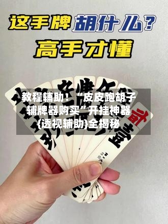 教程辅助！“皮皮跑胡子辅牌器购买”开挂神器{透视辅助}全揭秘-第1张图片