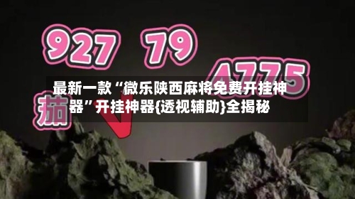 最新一款“微乐陕西麻将免费开挂神器”开挂神器{透视辅助}全揭秘-第1张图片