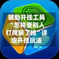 辅助开挂工具“怎样查别人打牌装了挂	”详细开挂玩法-第1张图片