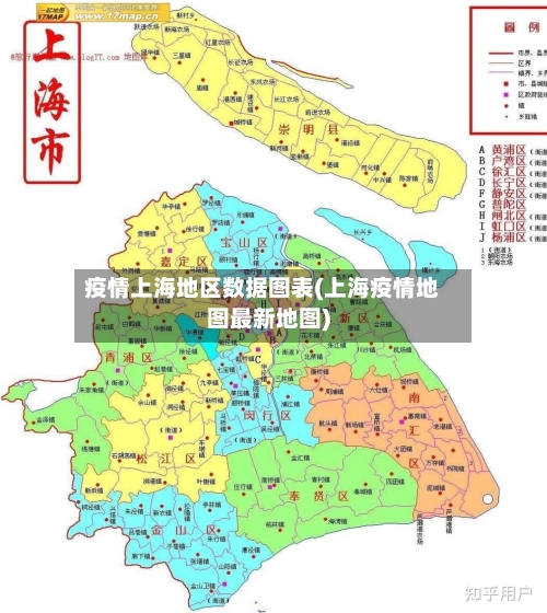 疫情上海地区数据图表(上海疫情地图最新地图)-第1张图片