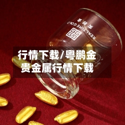 行情下载/粤鹏金贵金属行情下载-第1张图片