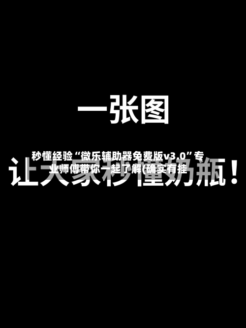 秒懂经验“微乐辅助器免费版v3.0	”专业师傅带你一起了解(确实有挂-第1张图片