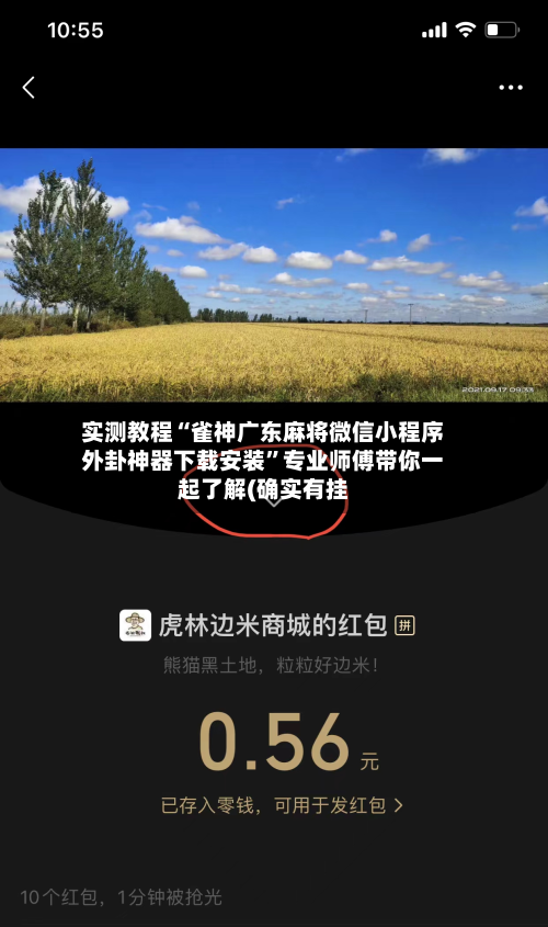 实测教程“雀神广东麻将微信小程序外卦神器下载安装”专业师傅带你一起了解(确实有挂-第1张图片