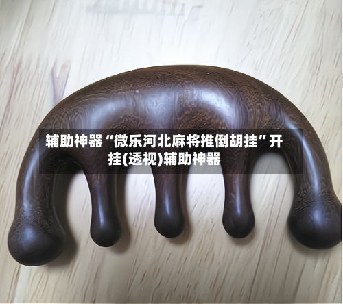 辅助神器“微乐河北麻将推倒胡挂”开挂(透视)辅助神器-第1张图片