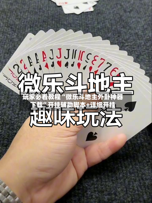 玩家必看教程“微乐斗地主外卦神器下载	”开挂辅助脚本+详细开挂-第1张图片