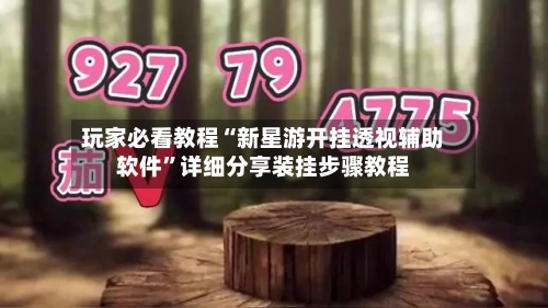 玩家必看教程“新星游开挂透视辅助软件	”详细分享装挂步骤教程-第1张图片