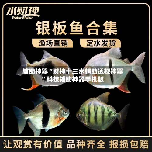 辅助神器“财神十三水辅助透视神器	”科技辅助神器手机版-第1张图片