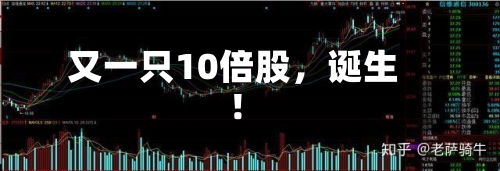 又一只10倍股，诞生！-第1张图片