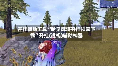 开挂辅助工具“哈灵麻将开挂神器下载”开挂(透视)辅助神器-第1张图片