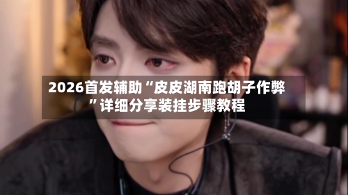 2026首发辅助“皮皮湖南跑胡子作弊”详细分享装挂步骤教程-第1张图片