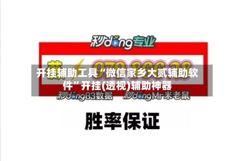 开挂辅助工具“微信家乡大贰辅助软件”开挂(透视)辅助神器-第1张图片