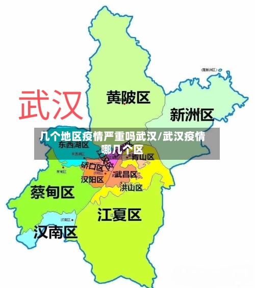 几个地区疫情严重吗武汉/武汉疫情哪几个区-第1张图片