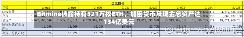 Bitmine披露持有521万枚ETH	，加密货币及现金总资产达134亿美元-第1张图片