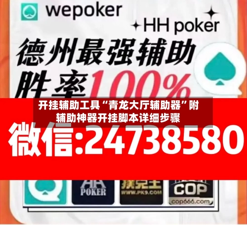 开挂辅助工具“青龙大厅辅助器	”附辅助神器开挂脚本详细步骤-第1张图片