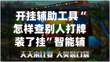 开挂辅助工具“怎样查别人打牌装了挂”智能辅助工具使用教程-第1张图片