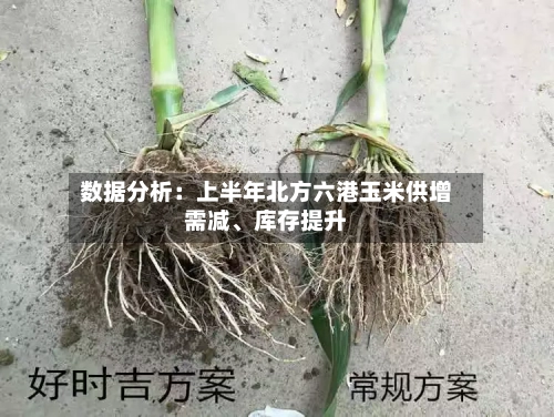 数据分析：上半年北方六港玉米供增需减	、库存提升-第1张图片