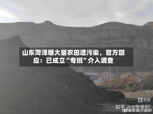 山东菏泽曝大量农田遭污染，官方回应：已成立“专班	”介入调查-第1张图片