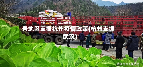 各地区支援杭州疫情政策(杭州支援武汉)-第1张图片