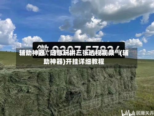 辅助神器“随意玩拼三张透视视频”(辅助神器)开挂详细教程-第1张图片