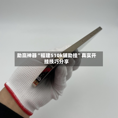 助赢神器“福建510k辅助挂	”真实开挂技巧分享-第1张图片