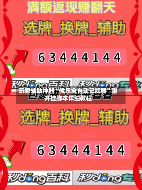 玩家辅助神器“微乐全自动记牌器	”附开挂脚本详细教程-第1张图片