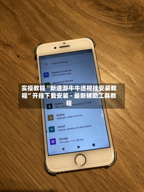 实操教程“新道游牛牛透视挂安装教程	”开挂下载安装 - 最新辅助工具教程-第1张图片