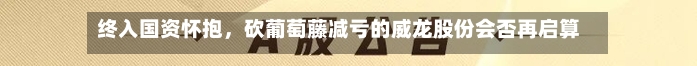 终入国资怀抱，砍葡萄藤减亏的威龙股份会否再启算力跨界之路？-第1张图片