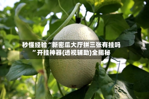 秒懂经验“新密瓜大厅拼三张有挂吗”开挂神器{透视辅助}全揭秘-第1张图片