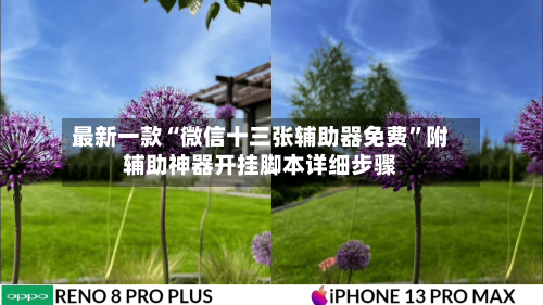 最新一款“微信十三张辅助器免费	”附辅助神器开挂脚本详细步骤-第1张图片