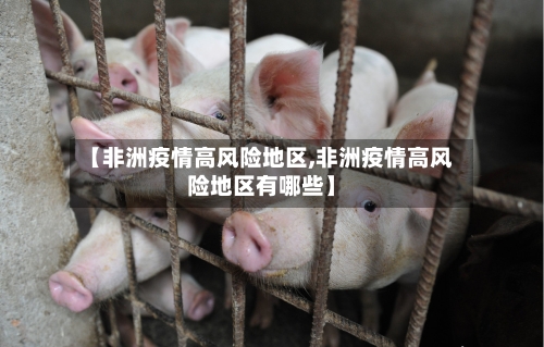 【非洲疫情高风险地区,非洲疫情高风险地区有哪些】-第1张图片