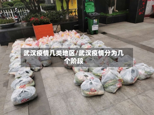 武汉疫情几类地区/武汉疫情分为几个阶段-第1张图片