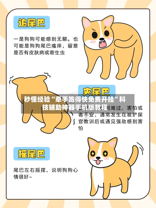 秒懂经验“牵手跑得快免费开挂”科技辅助神器手机版教程-第1张图片