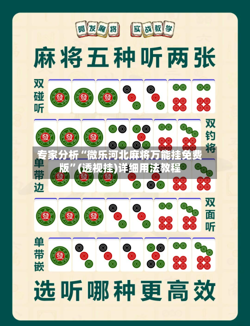 专家分析“微乐河北麻将万能挂免费版	”(透视挂)详细用法教程-第1张图片