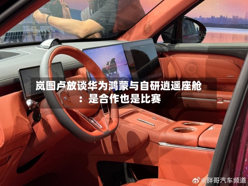 岚图卢放谈华为鸿蒙与自研逍遥座舱：是合作也是比赛-第1张图片
