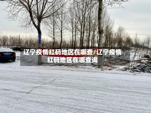 辽宁疫情红码地区在哪查/辽宁疫情红码地区在哪查询-第1张图片