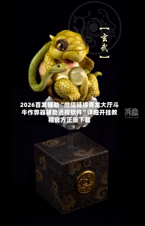 2026首发辅助“微信链接青龙大厅斗牛作弊器辅助透视软件”详细开挂教程官方正版下载-第1张图片