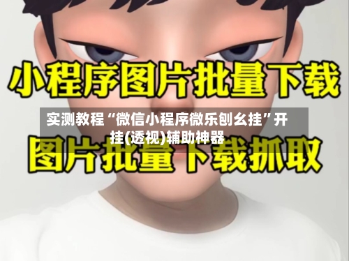 实测教程“微信小程序微乐刨幺挂”开挂(透视)辅助神器-第1张图片