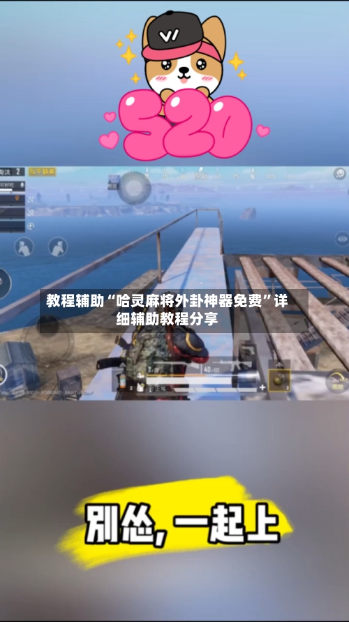 教程辅助“哈灵麻将外卦神器免费”详细辅助教程分享-第1张图片