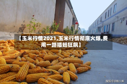 【玉米行情2021,玉米行情彻底火爆,费用一路插翅狂飙】-第1张图片