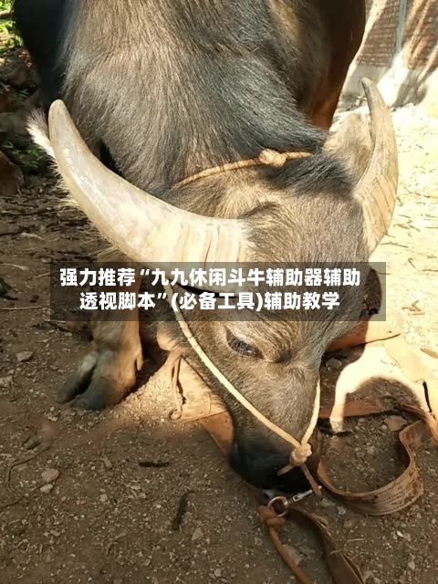 强力推荐“九九休闲斗牛辅助器辅助透视脚本	”(必备工具)辅助教学-第1张图片