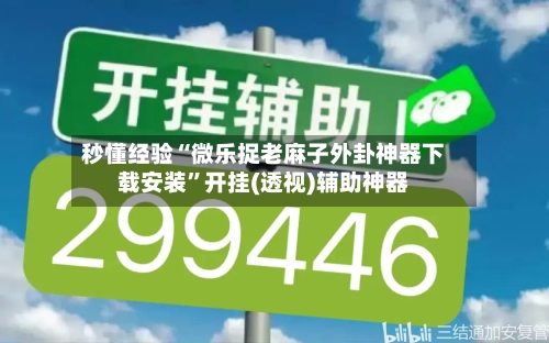 秒懂经验“微乐捉老麻子外卦神器下载安装”开挂(透视)辅助神器-第1张图片