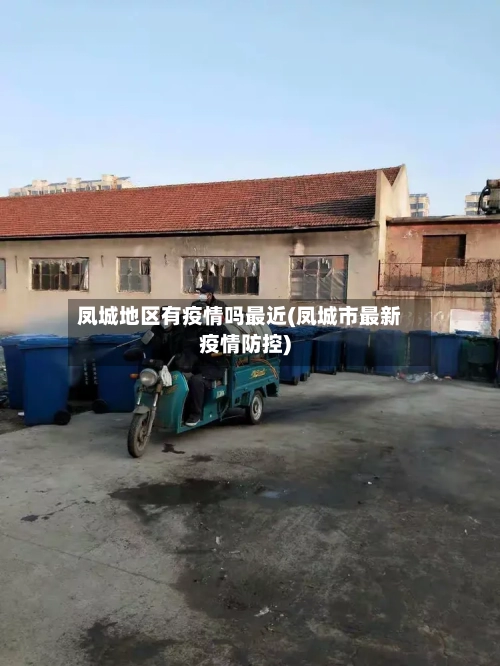 凤城地区有疫情吗最近(凤城市最新疫情防控)-第1张图片