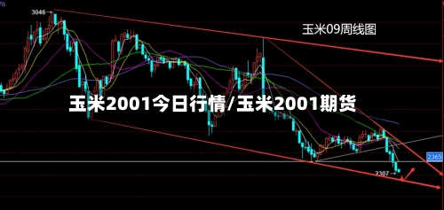 玉米2001今日行情/玉米2001期货-第1张图片