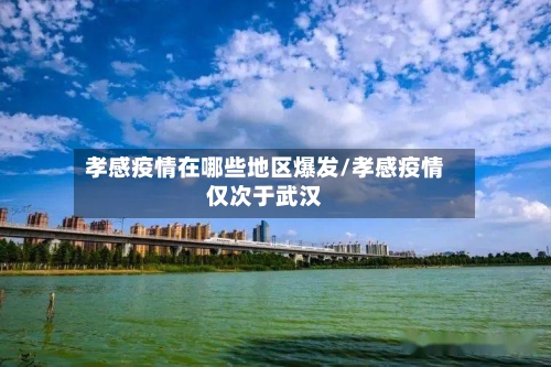 孝感疫情在哪些地区爆发/孝感疫情仅次于武汉-第1张图片